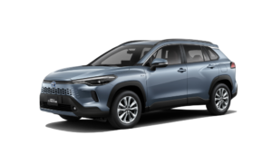 Celestite Gray Metallic 8292a1_183940