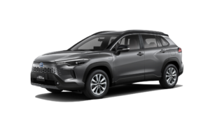 Gray Metallic 474849 and 000000_183918