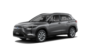 Gray Metallic 474849_183826