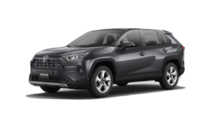 Gray Metallic (RAV4)_130204