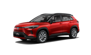 Red Mica Metallic c12022 and 000000_183800