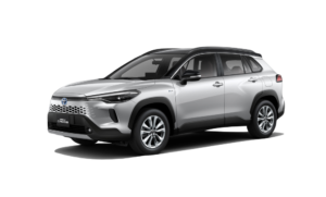 Silver Metallic a3a4a6 and 000000_183653