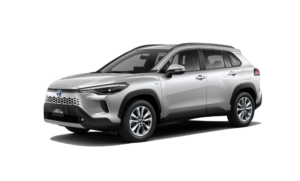 Silver Metallic a3a4a6_183614